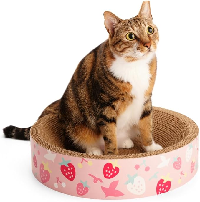 BLUE BAY Cat Scratcher Lounge Bed — 2-in-1 Cardboard Scratch Bowl & Cozy Cat Bed for Indoor Cats, High-Density Corrugated Scratcher, Non-Toxic Recyclable Furniture Protector, All Breeds