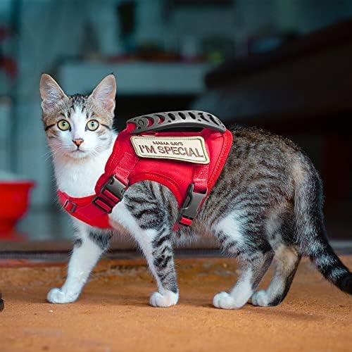 AIWAI Tactical Cat Harness for Walking Escape Proof, Adjustable Pet Vest Harness with Control Handle for Large Cat Small Dog, Soft Mesh, Gift with Patch