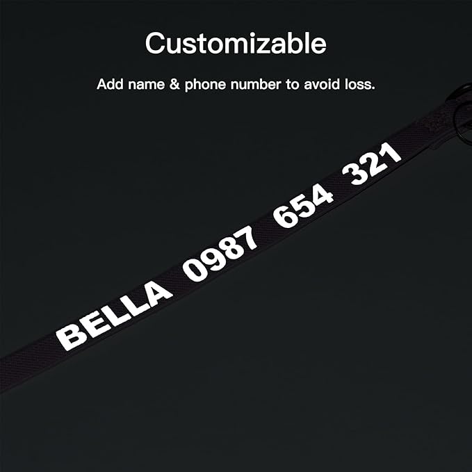Personalized Cat Collar with Reflective Text for Night Visibility, Elastic Quick-Release Non-Breakaway Design, Fits Kittens, Small & Large Cats, Safe for Daily Wear