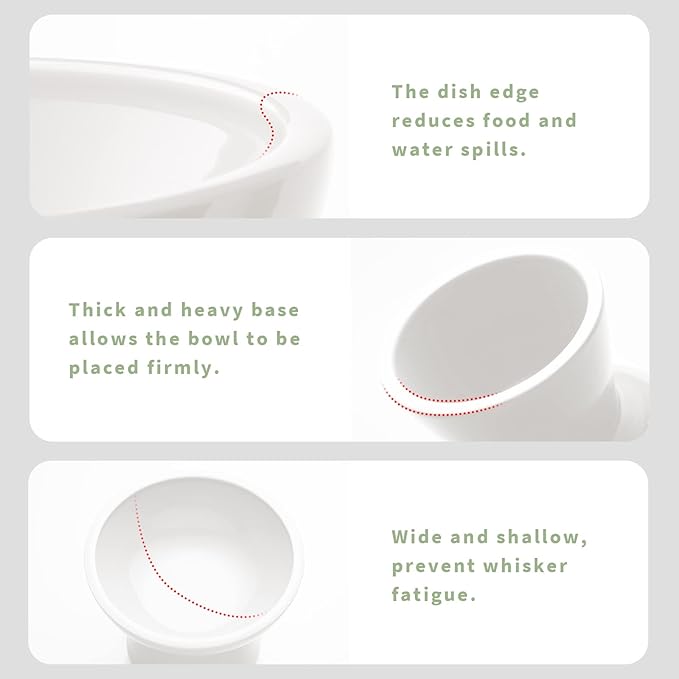 CEEFU 2 Elevated Ceramic Cat Bowls Upgraded with Food Mat, Extra Wide for Food & Water – Whisker Fatigue Shallow Food Dish, Lead & Cadmium-Free, Raised Height for Cats, White