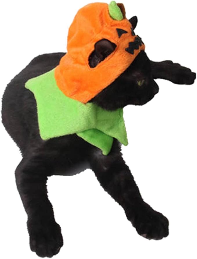 Orgrimmar Halloween Pumpkin Cat Hat Cosplay Costume Cap Kitty Collar Costume