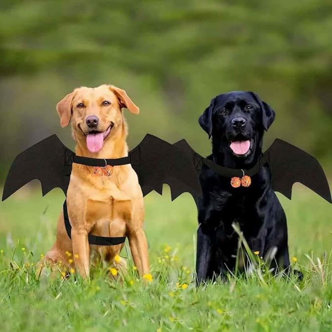 Cat Halloween Costume Bat Wings with Pumpkin Jingle Bells Pet Apparel Halloween Party Dress Up Accessories for Cats & Dogs