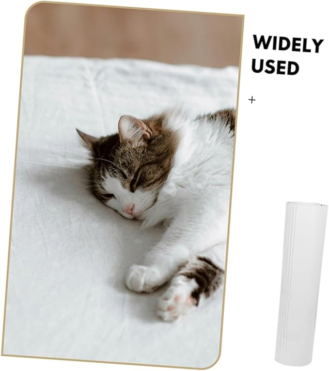 Totority 1set PVC Cat Scratch Protector Self-Adhesive Furniture Protector with PVC for Sofa Bed Chair Table Daily Use Cat Scratch Deterrent