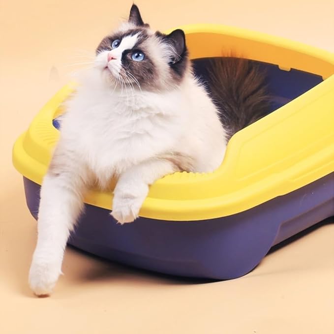Pet Supplies, Open Top Cat Litter Box with Scoop, High Side Sifting Tray for All Cats(Green)