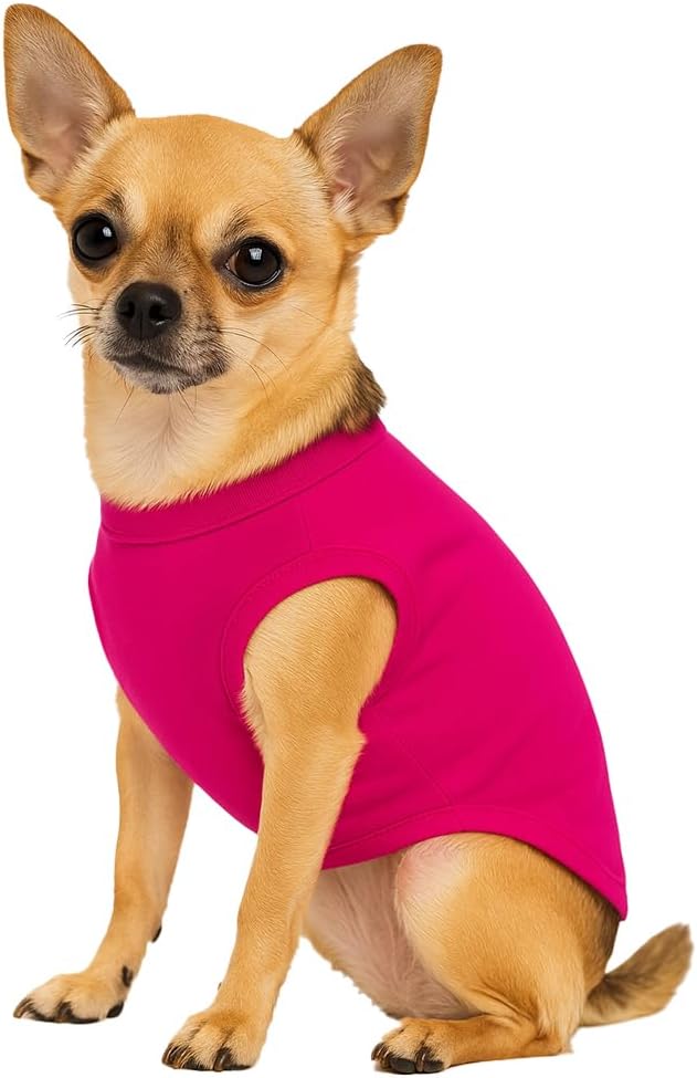 Stealing Hearts Blasting Farts Dog Tee Shirt | Sleeveless Breeds | Valentine's Day | Cute & Funny |Hot Pink, 4X-Large 983
