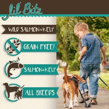 Lil' Bitz Soft & Chewy Training Treats for Dogs, Bite Size Reward Treats for Training & Positive Reinforcement, Grain Free Dog Treats Made with Wild Salmon & Kelp, All Breeds, 6 Pack (4 oz Each)