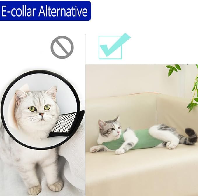 kzrfojy Cat Recovery Suit Cat Onesie for Cats After Surgery Female Male Spay Kitten Neuter Surgical Bodysuit Post Surgery Cone of Shame Alternative Anti Licking(Green, Medium)