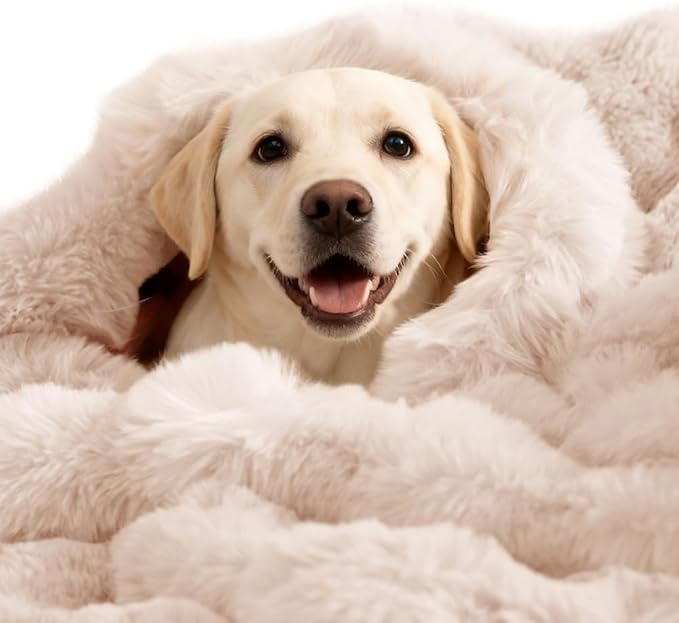 SOMAHE Dog Blanket, Reversible Sherpa & Bubble Fleece Pet Throw, Ultra-Soft Plush for Medium Dogs, Machine Washable, Anti-Static, Warm & Cozy, 39"×31" Inch White