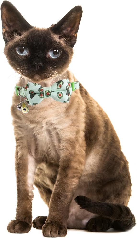 Cat Collar Breakaway with Cute Bow Tie and Bell Fruits Accessories for Kitty Adjustable Safety
