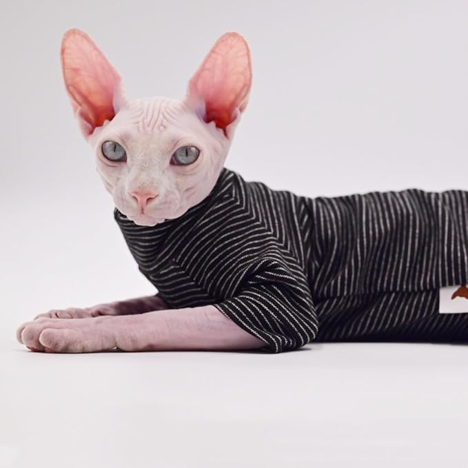 Hairless Cat Clothes, Warm and Soft, Autumn and Winter, Four-Legged Hoodie for Sphynx Cats,Devon Rex Cats, Cornish Cats (Black, Medium)