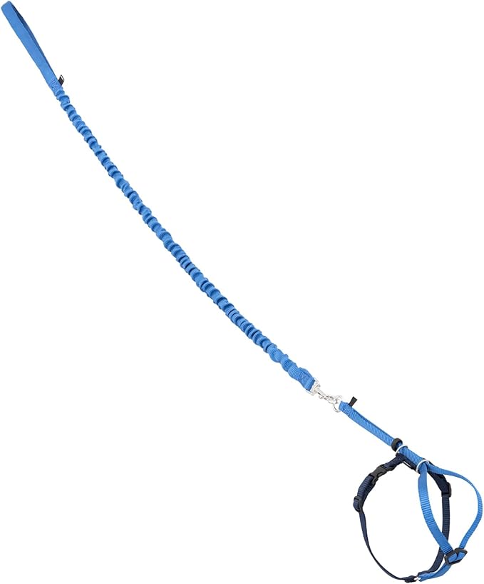 PetSafe Come with Me Kitty Harness and Bungee Leash - Medium, Royal Blue