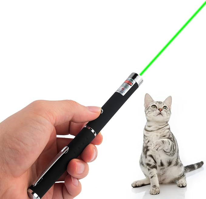 Cats Toys USB Rechargeable Pet Interactive Toys with Green Remotes for Indoor Classroom Interactive Teaching (Green, USB 1 Pack)