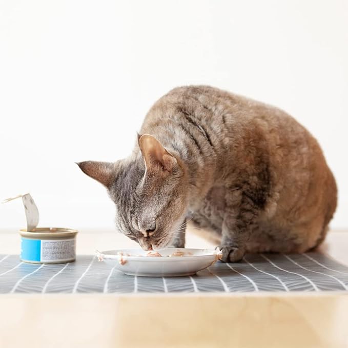 Shallow Cat Food Dish Ceramic Cat Plates for Wet Food Flat Cat Bowl for Whisker Fatigue Wide Kitten Feeding Tray Cute Cat Food Bowl Non Slip Cat Feeding & Watering Supplies (3 Sets)