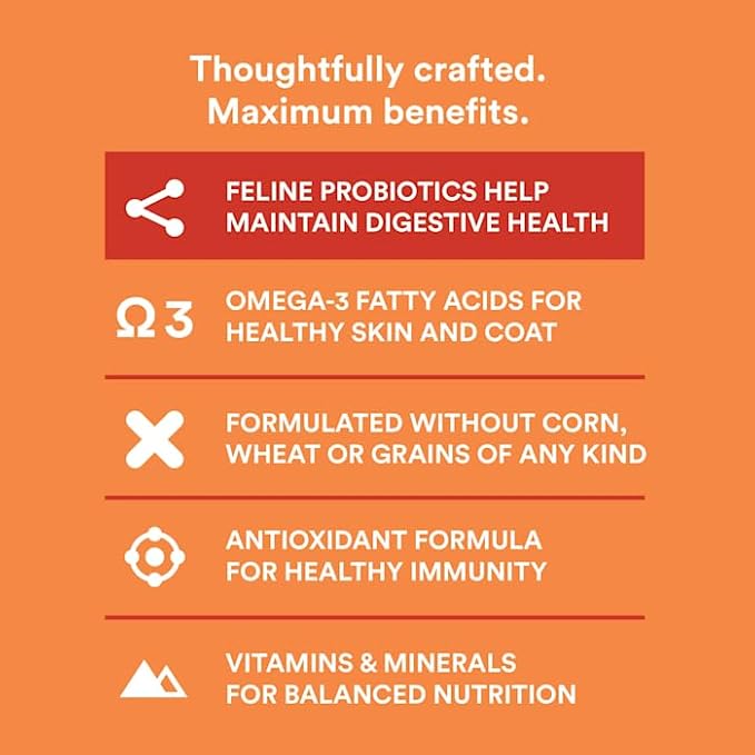 WholeHearted Grain Free Chicken Formula Dry Cat Food 5 lbs.
