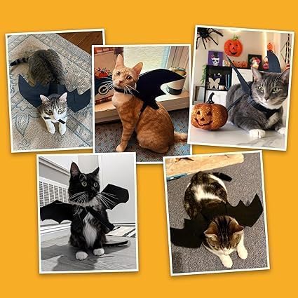 Cat Bat Wings Cat Bat Costume Cats Halloween Costumes Cute Bats Wings for Cats Kitten Halloween Costume Kitten Bats Wing Pet Halloweens Dress Up Accessories,Black M