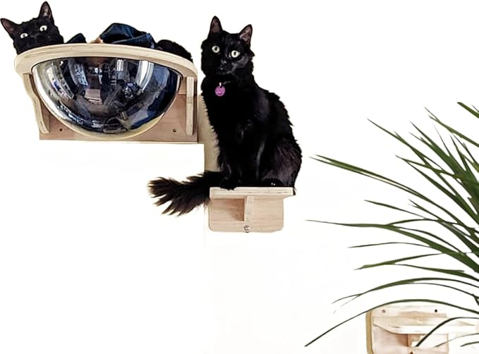 Black Large Cat Wall Shelves,Large Bed/Bubble for Cats Set Climbing Furniture, Wall Clear Cat Hammock Transparent Capsule Bed Set-1XL