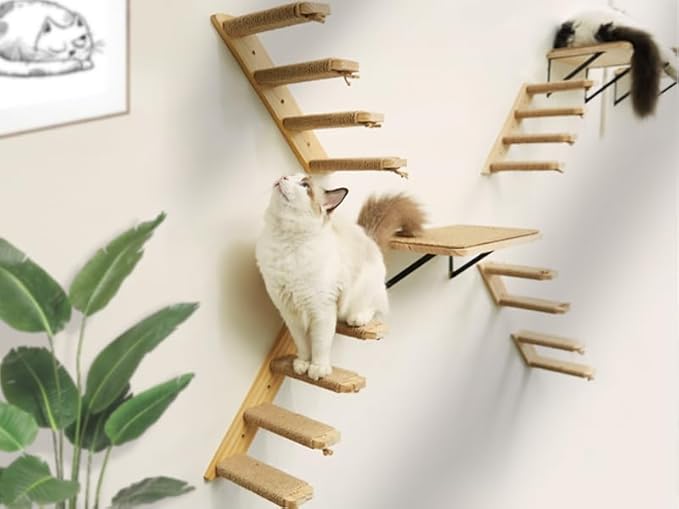 Cat Wall Shelves Stairs Cat Wall Furniture Mounted, 2PCS Shelves & 2PCS 4 Steps Climbing Shelf Scratching Perches for Sleeping, Playing, Climbing