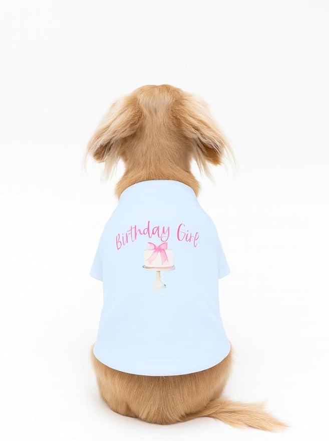 Luxury Designer Dog T Shirt – Cute Puppy Clothes for Small Dogs, Fashion Pet Tee Outfit for French Bulldogs & Chihuahuas, Everything Chic Dog Apparel