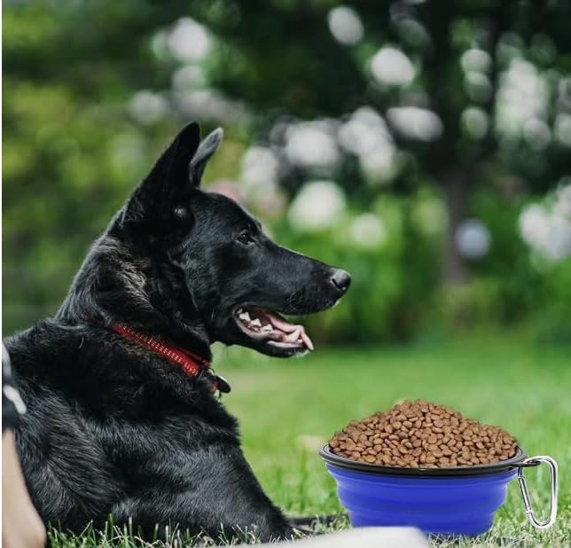 Dog Bowl Pet Collapsible Bowls, 2 Pack Collapsible Dog Water Bowls for Cats Dogs, Portable Pet Feeding Watering Dish for Walking Parking Traveling with 2 Carabiners (Large, Black+Black)