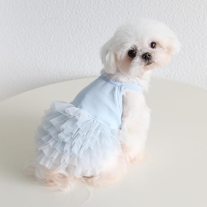 Hdwk&Hped Small Dog Dress Breathable Summer Dog Dress for Puppy Cats Girl Female Tutu Cake Skirt Princess Dress for Birthday Party Costume (Cake Skirt - Blue, X-Small)