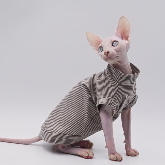 Cotton Sphynx Cat Clothes Spring and Summer Thin High Elasticity Devon Rex, Konish Clothes Hairless Cat Clothes Cat Apparel for Small Cats and Dogs (Grey, X-Large)