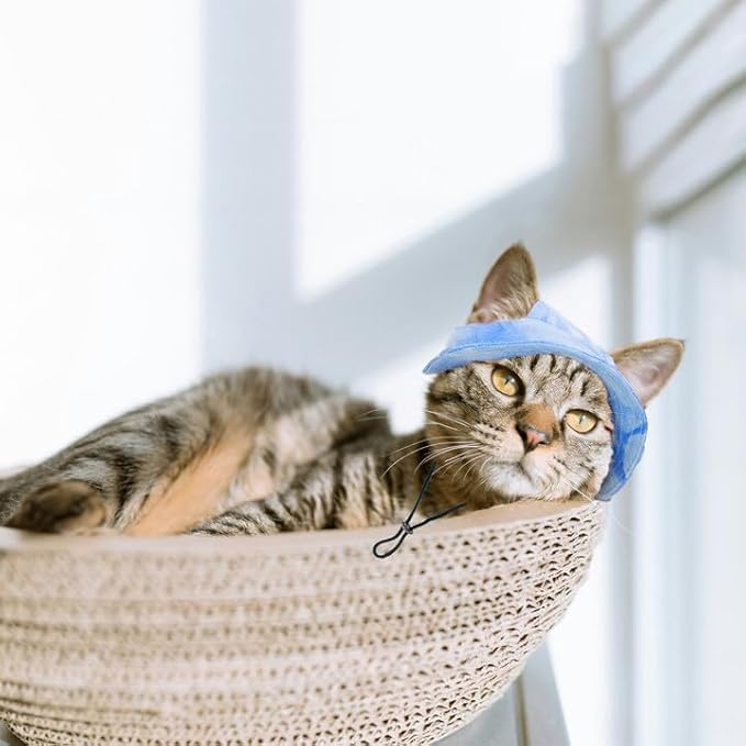 Pet Hat with Ear Holes Sunscreen Cap, Adjustable String Dog Cat Summer Sun Hat,Cat Dog Bucket Hat for Birthday Party Costume Decoration Outdoor Hiking (Blue, Large)