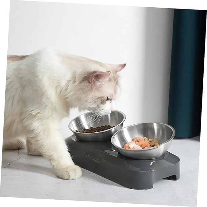Adjustable Stainless Steel Slant Double Pet Bowl Set, Raised Cat Feeding and Watering Bowls for Kittens and Cats