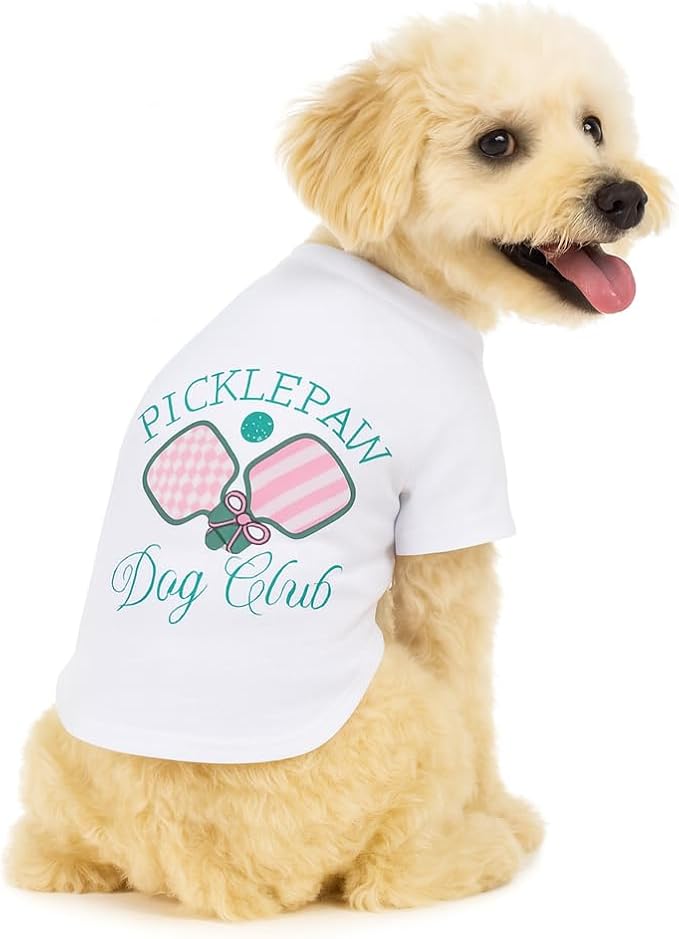 Luxury Designer Dog T Shirt – Cute Puppy Clothes for Small Dogs, Fashion Pet Tee Outfit for French Bulldogs & Chihuahuas, Everything Chic Dog Apparel