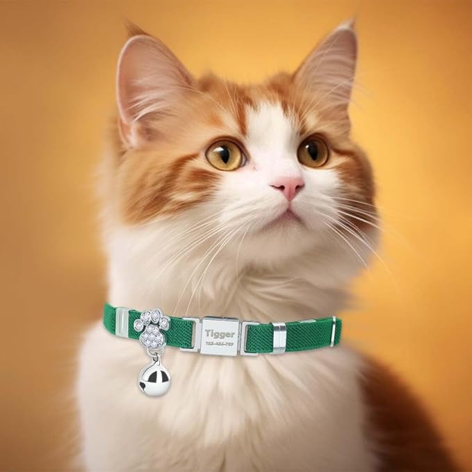 Personalized Safety Elastic Cat Collars with Bell,Laser Customized Stretch Kitten Collars for Girls Boys Cats-Dark Green