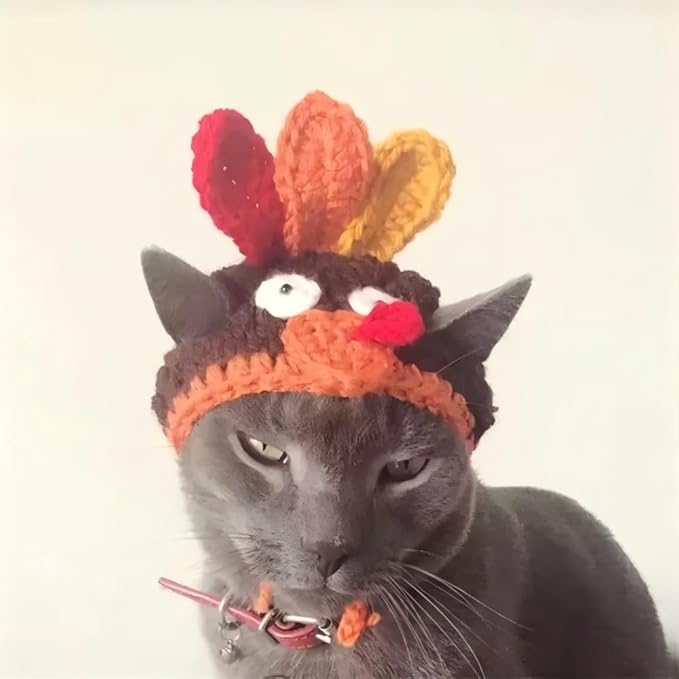 Crochet Turkey Hat for Cats & Small Dogs, Hand Knitted Thanksgiving Pet Costume, Halloween Party Photo Prop for Kittens and Puppies