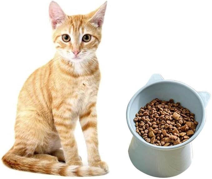 Non-Slip Cat Bowls with Raised Stand Oblique Pet Food Water Bowl for Cats Dogs Pet Water Drinking Feeder Pet Products
