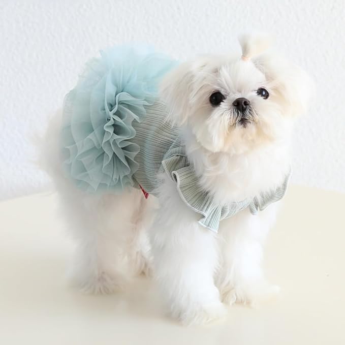 Hdwk&Hped Small Dog Dress Breathable Summer Dog Dress for Puppy Cats Girl Female Tutu Cake Skirt Princess Dress for Birthday Party Costume (Tutu Skirt - Cyan, X-Large)