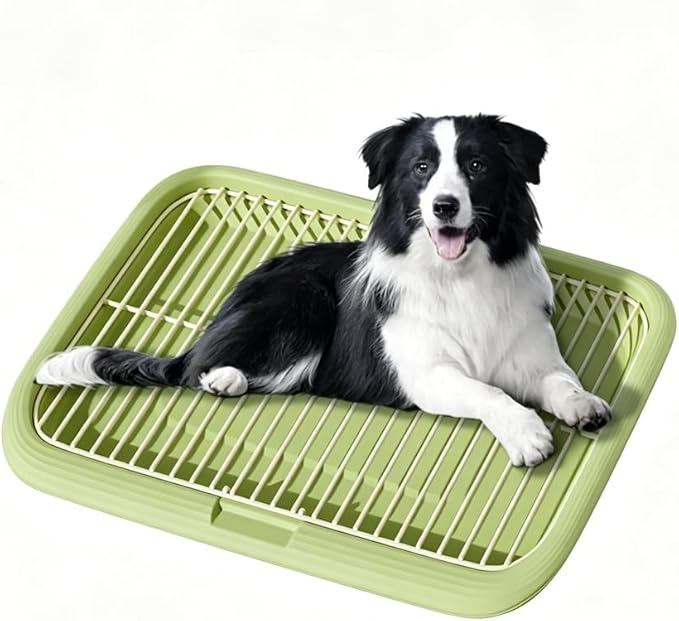 Dog Potty Tray Indoor Pet Pee Pad Holder for Small & Medium Dogs, Puppy Training Pad Holder, Pet Toilet Litter Box, Dog Bathroom Tray, Housebreaking Potty Supplies 17.72''LX12.99''WX1.97''H(Green)