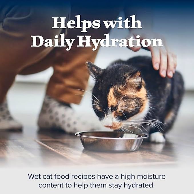 Blue Buffalo Wilderness High Protein, Natural Adult Pate Wet Cat Food Variety Pack, Chicken, Salmon, Turkey 5.5-oz can (12 Count - 4 of Each Flavor)