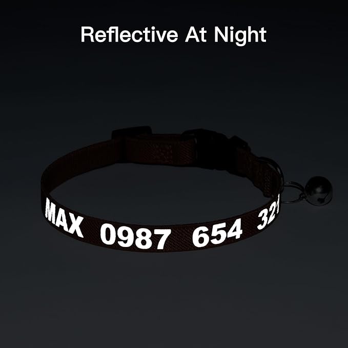 Personalized Cat Collar with Reflective Text for Night Visibility, Elastic Quick-Release Non-Breakaway Design, Fits Kittens, Small & Large Cats, Safe for Daily Wear