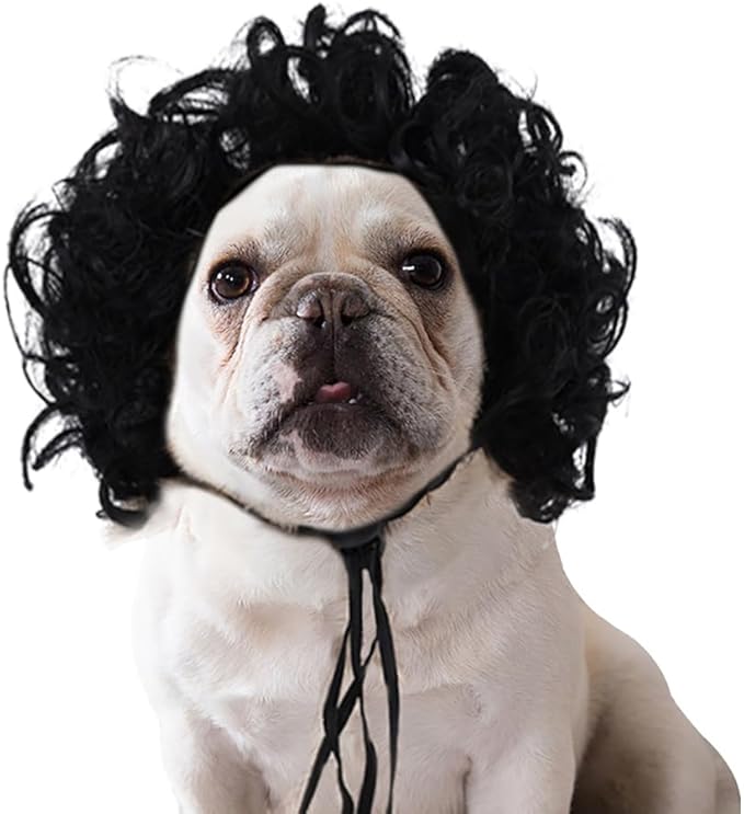 Psivika Pet Wigs Funny Dog Cat Cosplay Wig Pet Costume Cat Cosplay Decoration for Halloween, Christmas, Parties, Festival (Black)