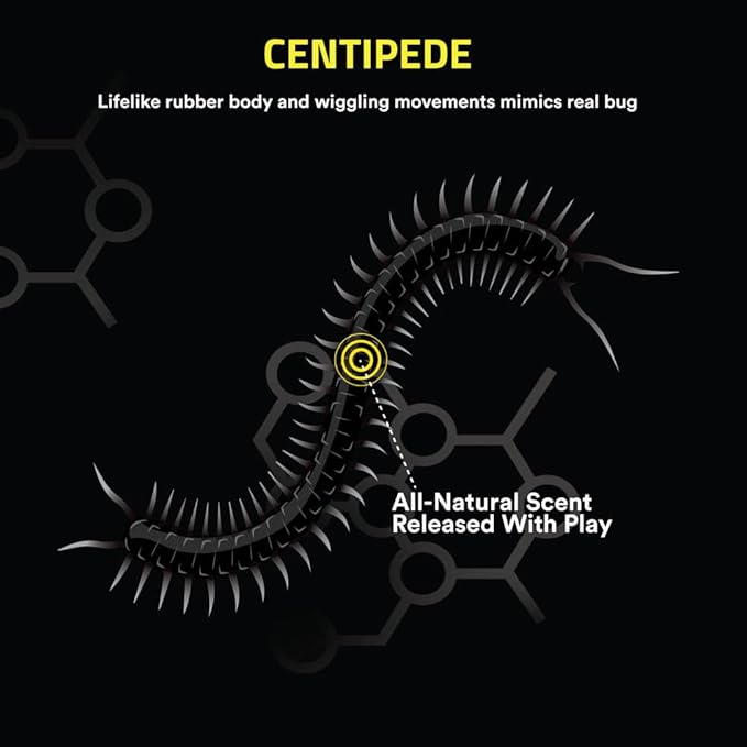 Playology Cat Toys | Catnip Toy Centipede for Chewing Chasing and Pouncing | Interactive Cat Toys for Indoor Cats