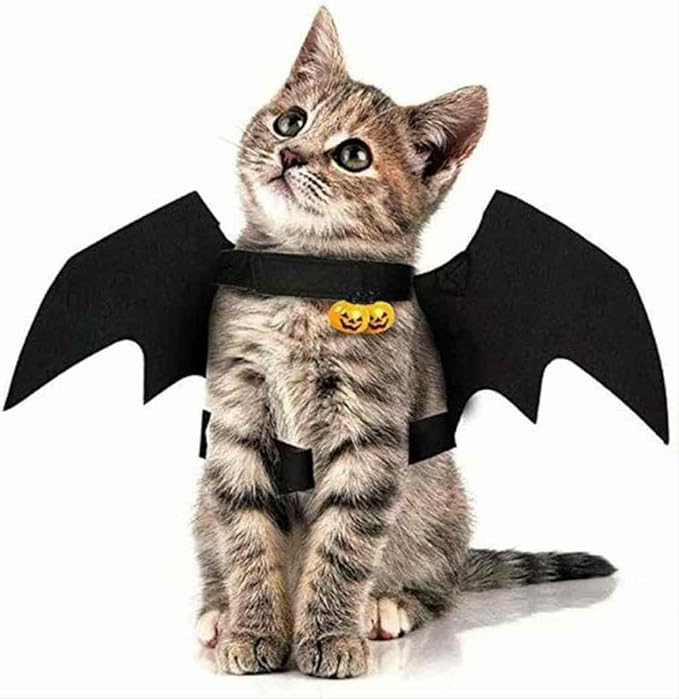 Cat Halloween Costume Bat Wings with Pumpkin Jingle Bells Pet Apparel Halloween Party Dress Up Accessories for Cats & Dogs