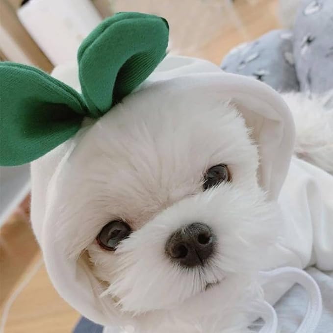 Pet Clothing Dog Transformation Frog Hoodie Autumn and Winter Warm Small Large Dog Method Dou Cat Bullfighting Clothes (White Radish,XL)