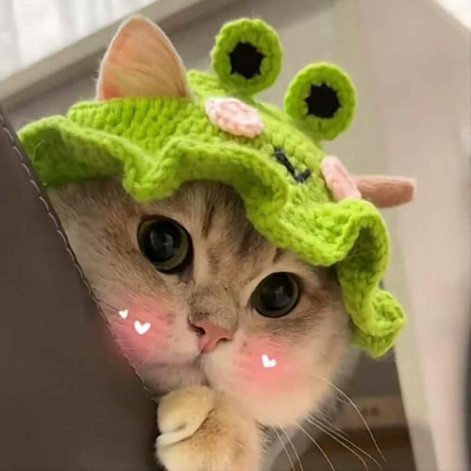 2Pcs Cute Knit Cat Hat,Handmade Crochet Dog Hat Halloween Christmas Party Costume Headwear for Pet Puppies (Frog and Flower)
