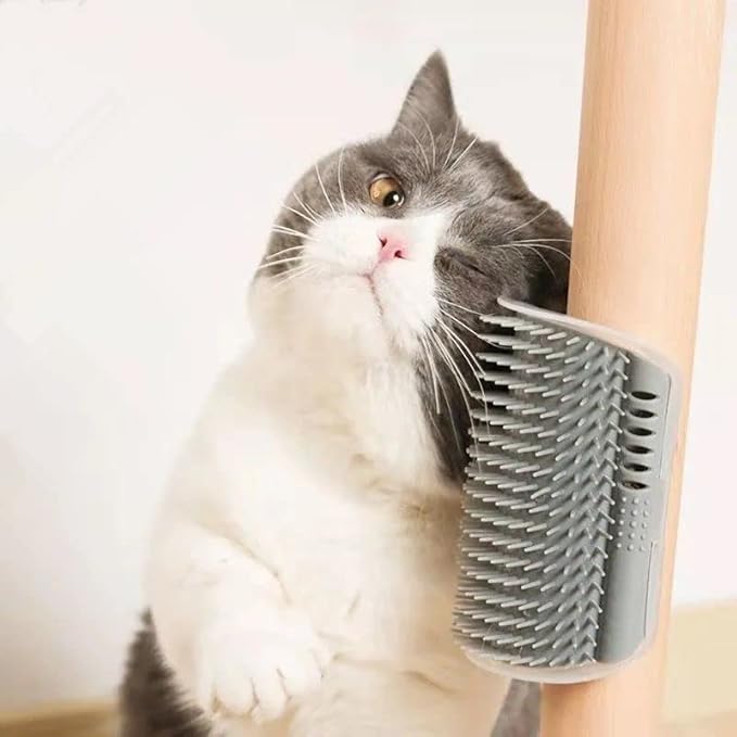 6 Pack Cat Self Groomer with Catnip Pouch Wall Corner Groomers Cat Face Scratcher Pet Grooming Brush Massage Combs for Cats Fur Pets Dog Kitten Puppy(Black & Gray)