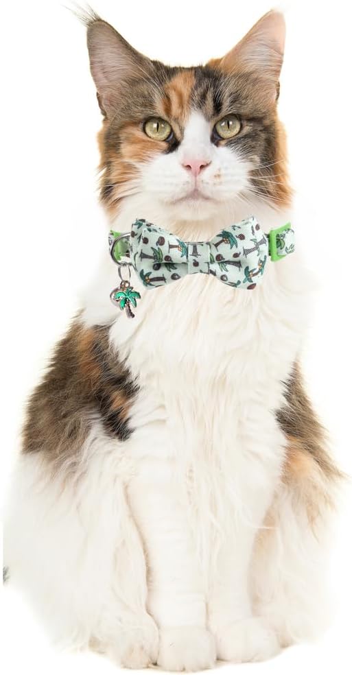 Cat Collar Breakaway with Cute Bow Tie and Bell Accessories for Kitty Adjustable Safety