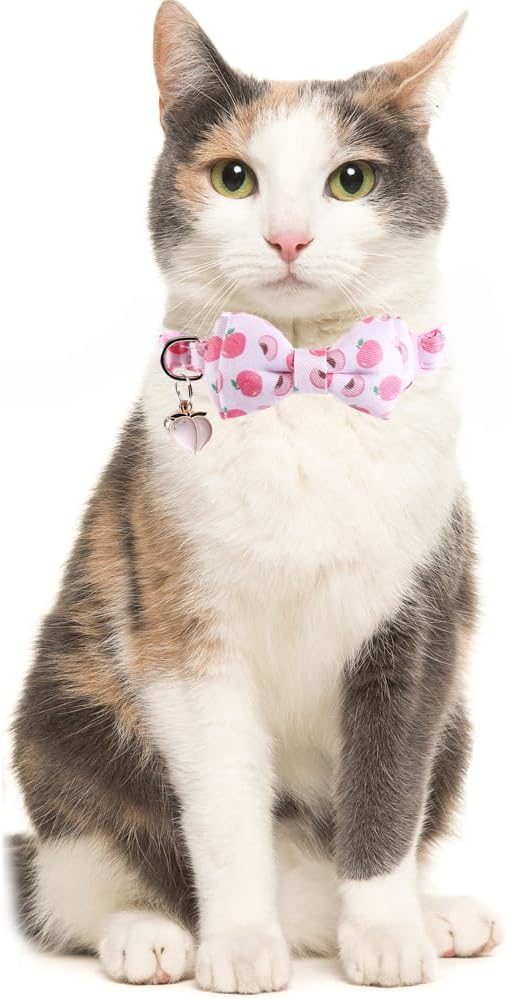 Cat Collar Breakaway with Cute Bow Tie Bandana and Bell Fruits Accessories for Kitty Adjustable Safety