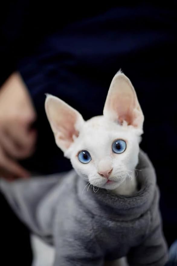 Sphynx Cat Clothes Winter Turtleneck Soft Coral Fleece Cat Clothes Thicken Warm Pajamas Coat for Hairless Cats and Small Cat Apparel with Sleeves (Iron Gray, XXL（12.7-16lbs）)
