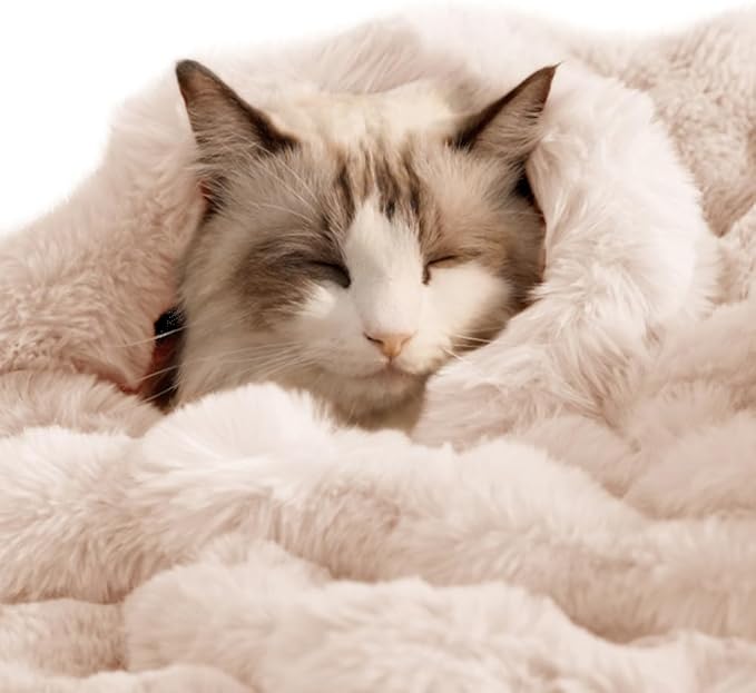 SOMAHE Cat Blanket, Reversible Sherpa & Bubble Fleece Pet Throw, Ultra-Soft Plush for Indoor Cats, Machine Washable, Anti-Static, Warm & Cozy, 22"×18" Inch White