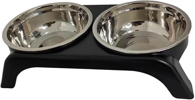 Elevated Cat Bowls, Stainless Steel Raised Food Water Bowl Set