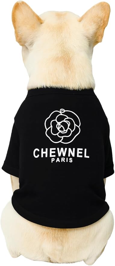 Luxury Designer Dog T Shirt – Trendy Puppy Clothes for Small Dogs, Fashion Pet Tee for French Bulldogs & Chihuahuas, Everything Chic Dog Apparel