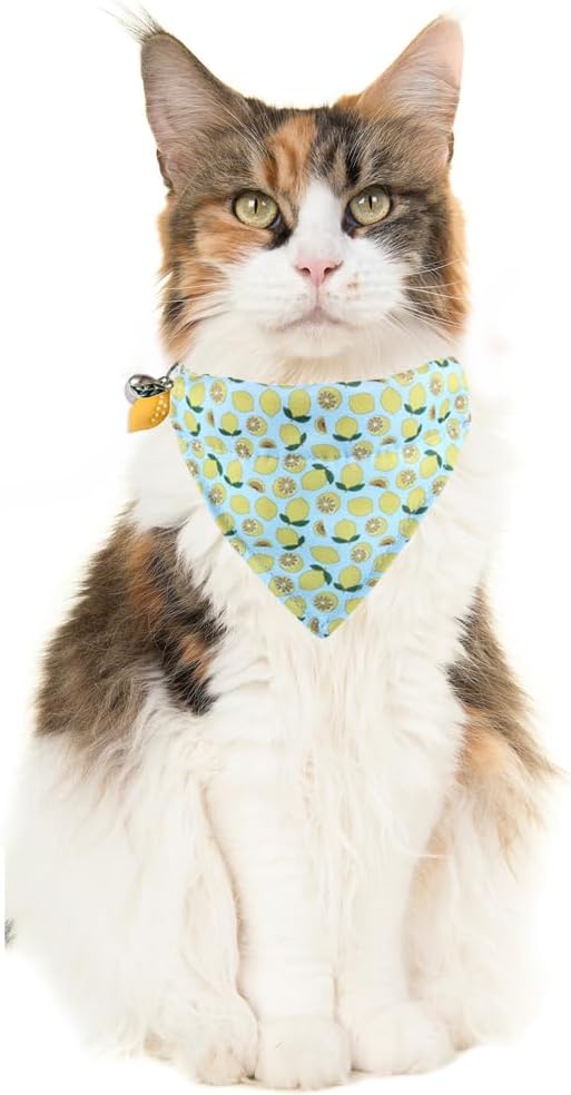 Cat Collar Breakaway with Cute Bandana and Bell Fruits Accessories for Kitty Adjustable Safety