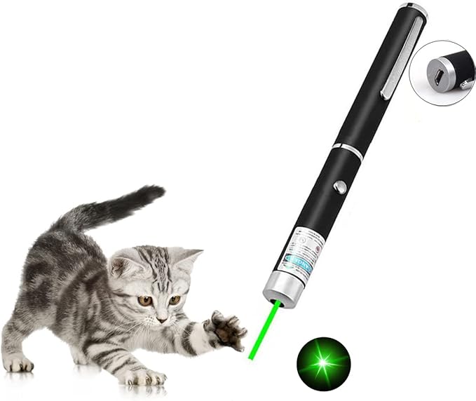 Cats Toys USB Rechargeable Pet Interactive Toys with Green Remotes for Indoor Classroom Interactive Teaching (Green, USB 1 Pack)