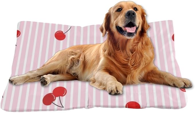 Cute Red Cherries Dog Pet Mat Non Slip Bottom Tough Dog Bed Chew Proof Crate Pad Room Furniture Multi Scenario Multi Model Cat Bed Pad Gift Printed Outdoor 24× 18 Inch